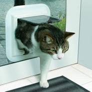 Install cat Flaps in Dundee